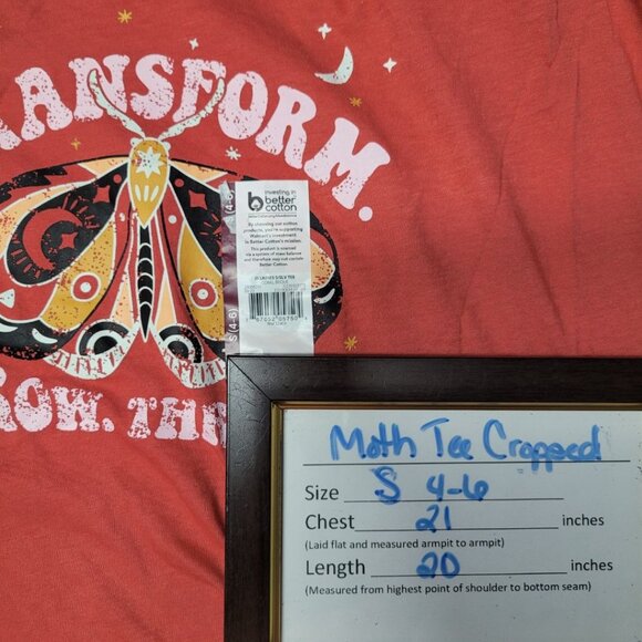 Joyspun Moth Grow Tee Shirt Cropped Soft Womens Small Short Sleeve Transform - Picture 4 of 6